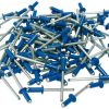 Kit 100 rivetti blu fissaggio targa